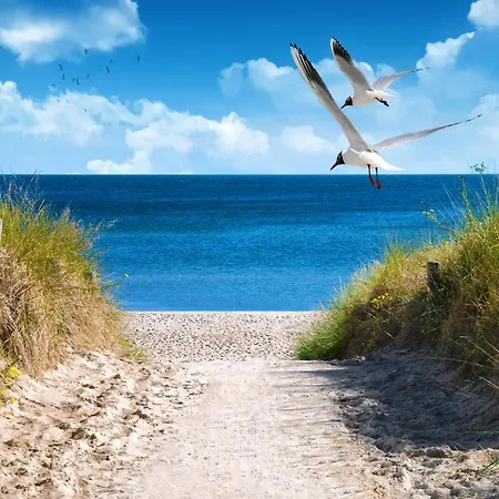 Tatil Evi 2 Typ D 52 Großenbrode